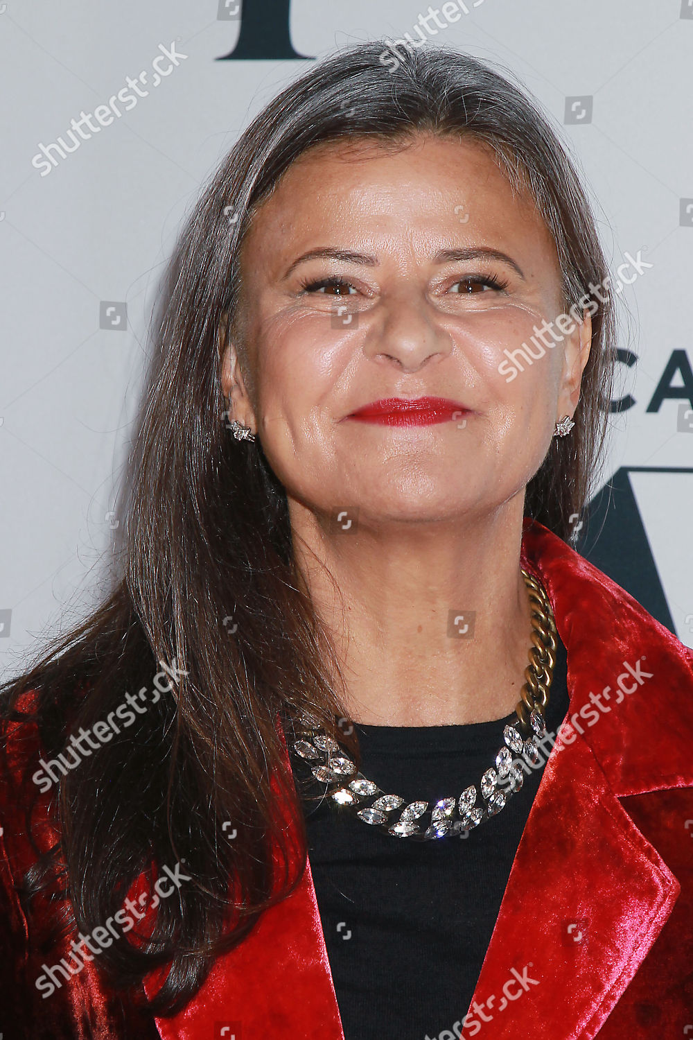 Tracey Ullman Editorial Stock Photo - Stock Image | Shutterstock