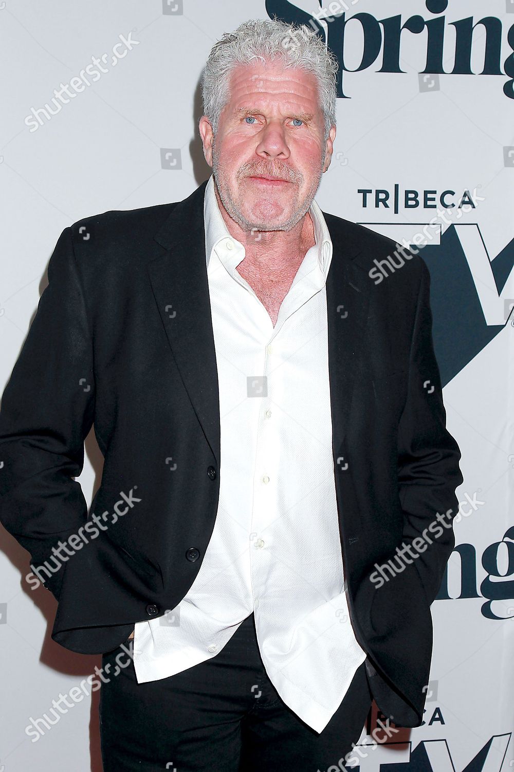 Ron Perlman Editorial Stock Photo - Stock Image | Shutterstock