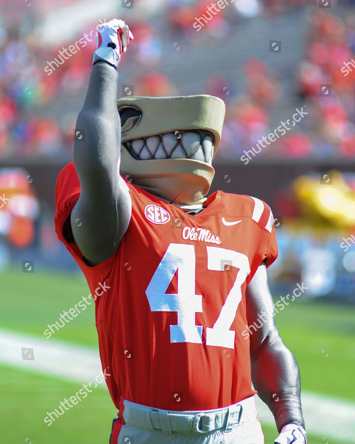 Ole Miss Mascot Landshark Tony During Editorial Stock Photo - Stock ...