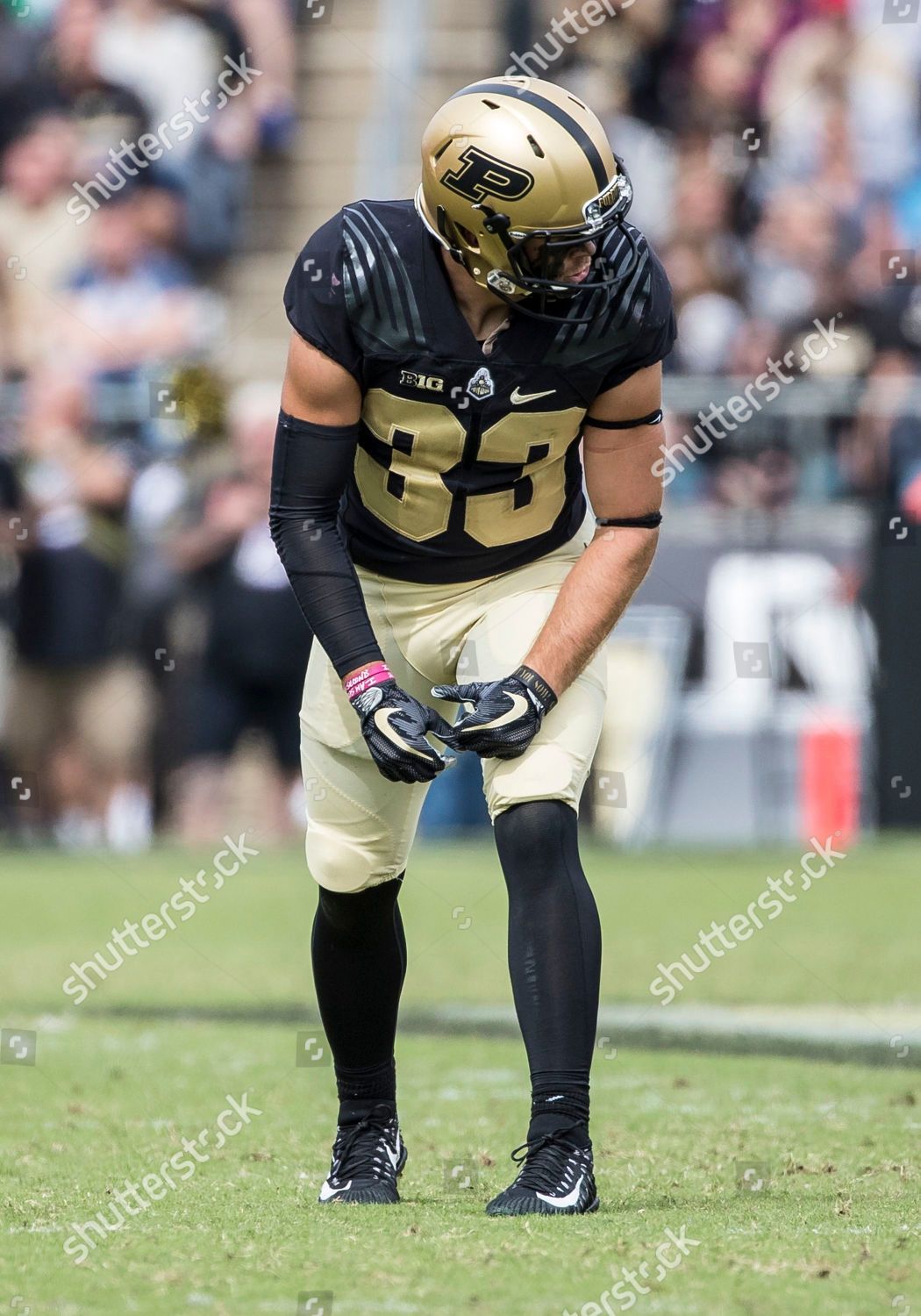 Purdue Wide Receiver Jackson Anthrop 33 Editorial Stock Photo - Stock ...