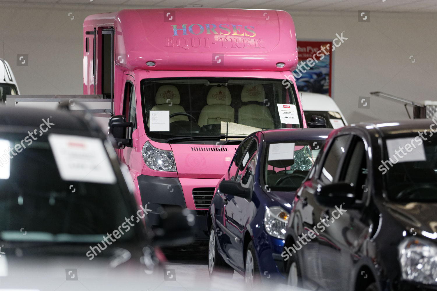 Pink Fiat Ducato Horsebox Editorial Stock Photo Stock Image