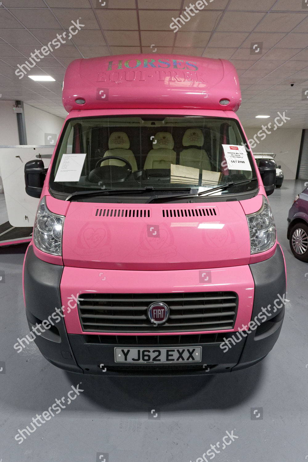 Pink Fiat Ducato Horsebox Editorial Stock Photo Stock Image