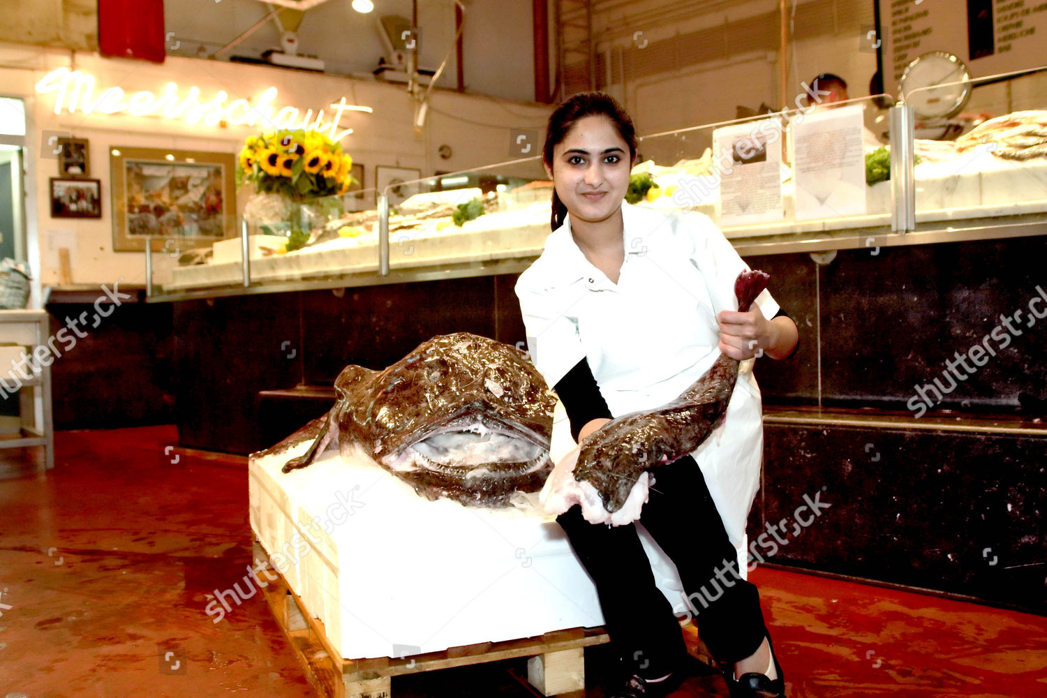 Giant Lophius Called Monkfish Goosefish Fishingfrog Editorial Stock