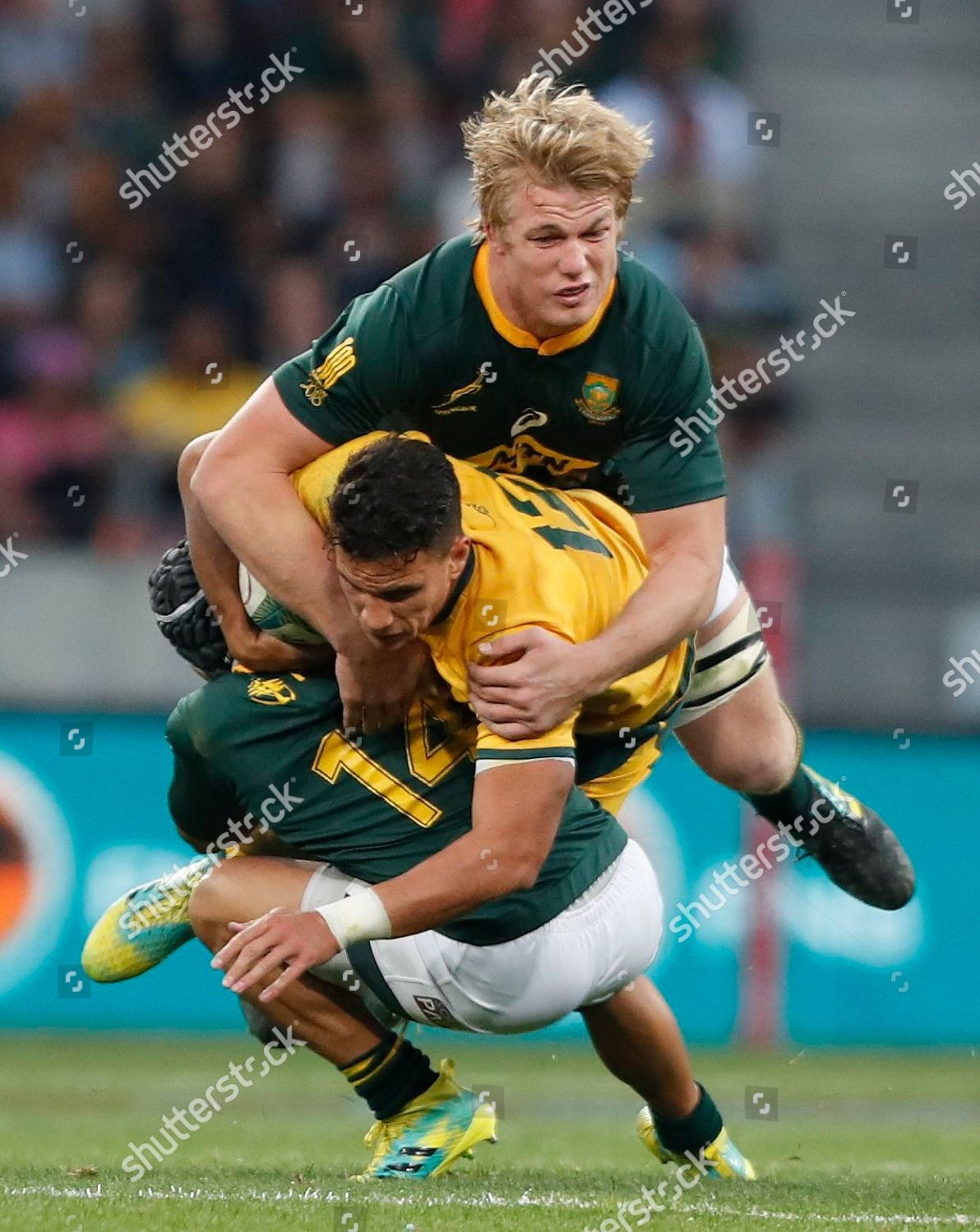 Cheslin Kolbe L Pietersteph Du Toit R Editorial Stock Photo Stock Image Shutterstock