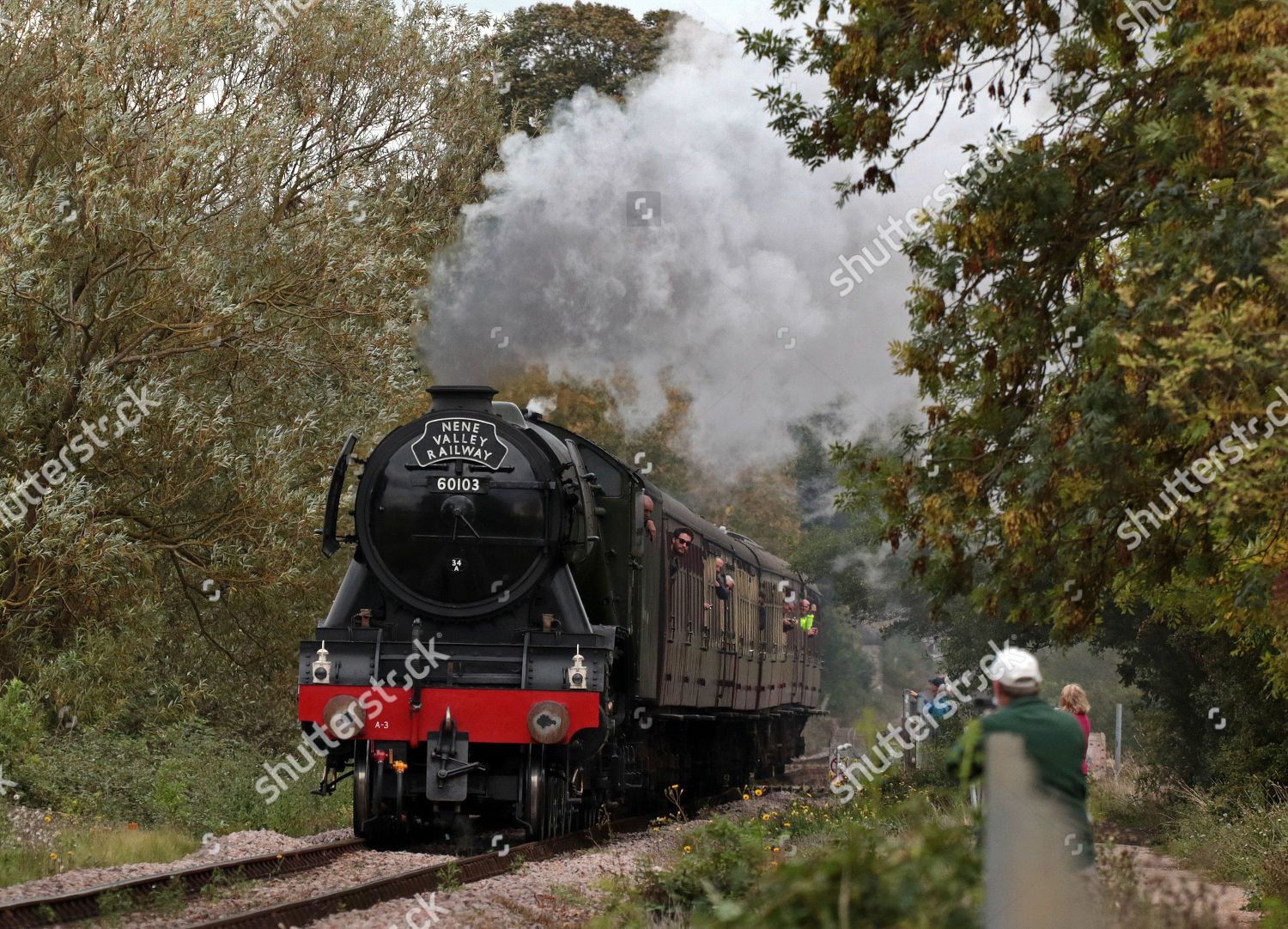 live steam flying scotsman for sale