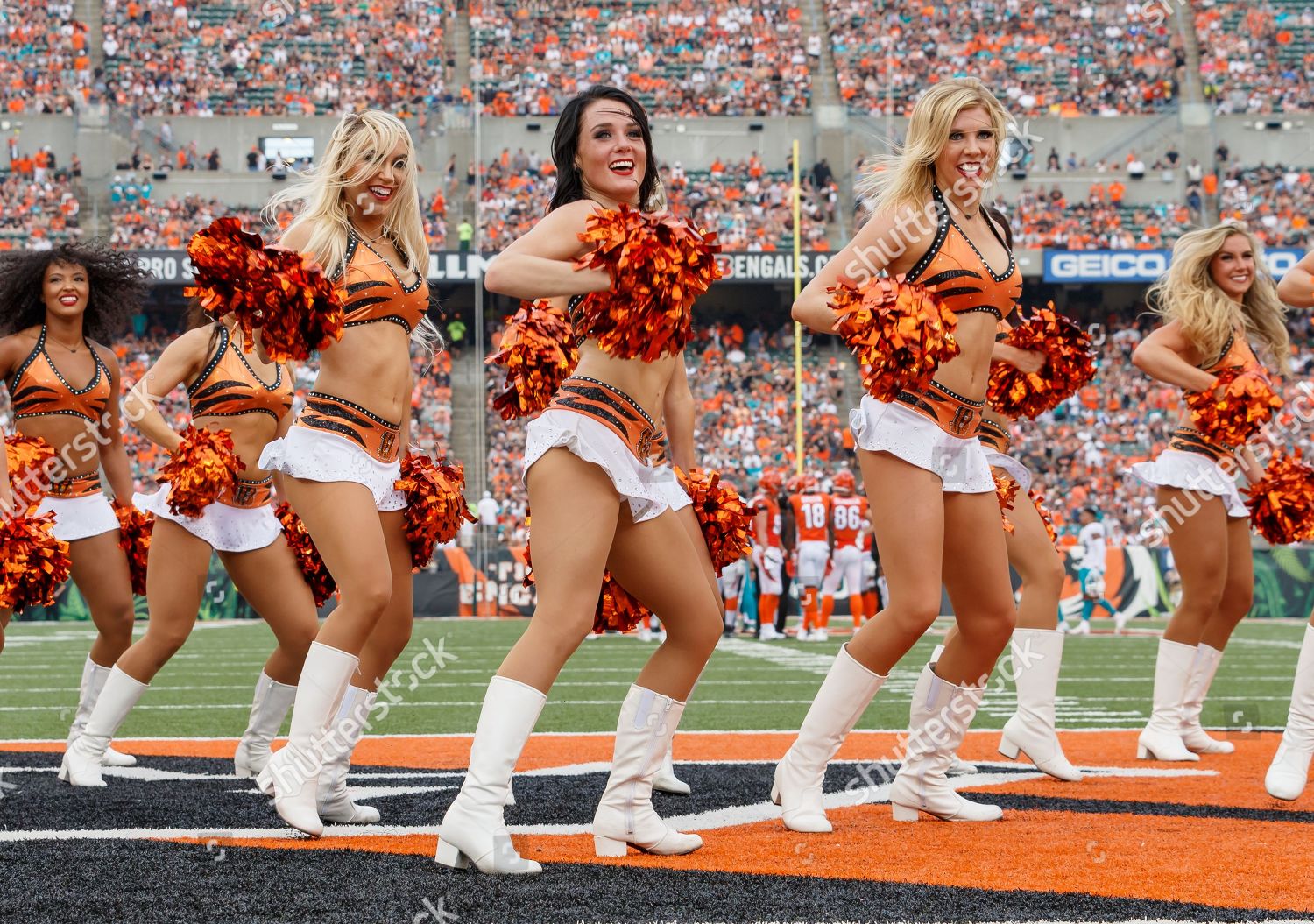 th Cincinnati Bengals cheerleaders perform game between Editorial Stock Pho...