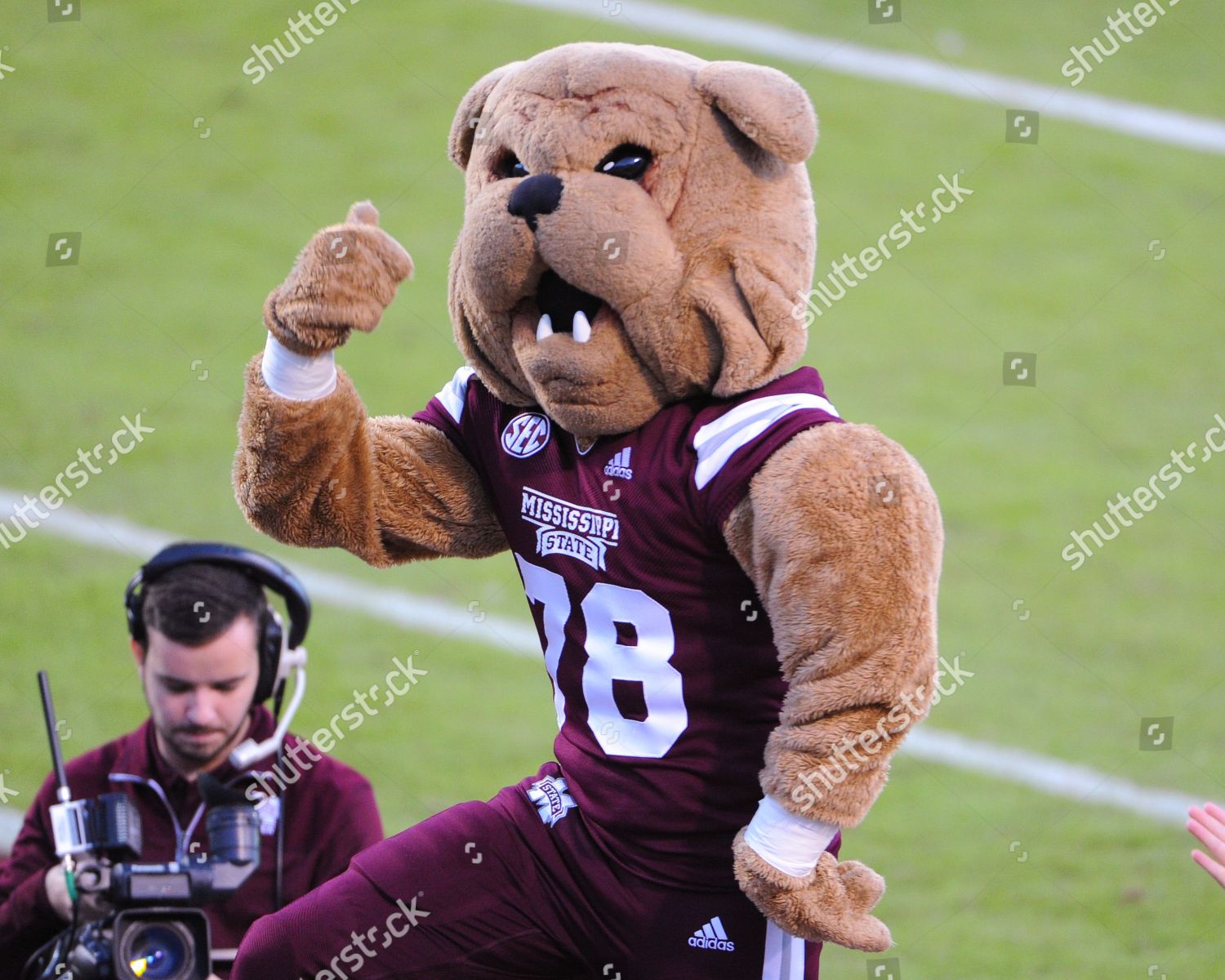 Mississippi State Mascot Bully Dancing During Editorial Stock Photo ...