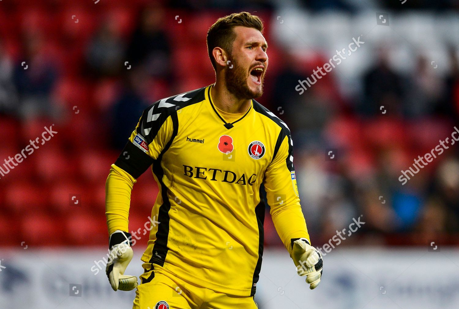 Jed Steer Goalkeeper Charlton Athletic Editorial Stock Photo - Stock ...