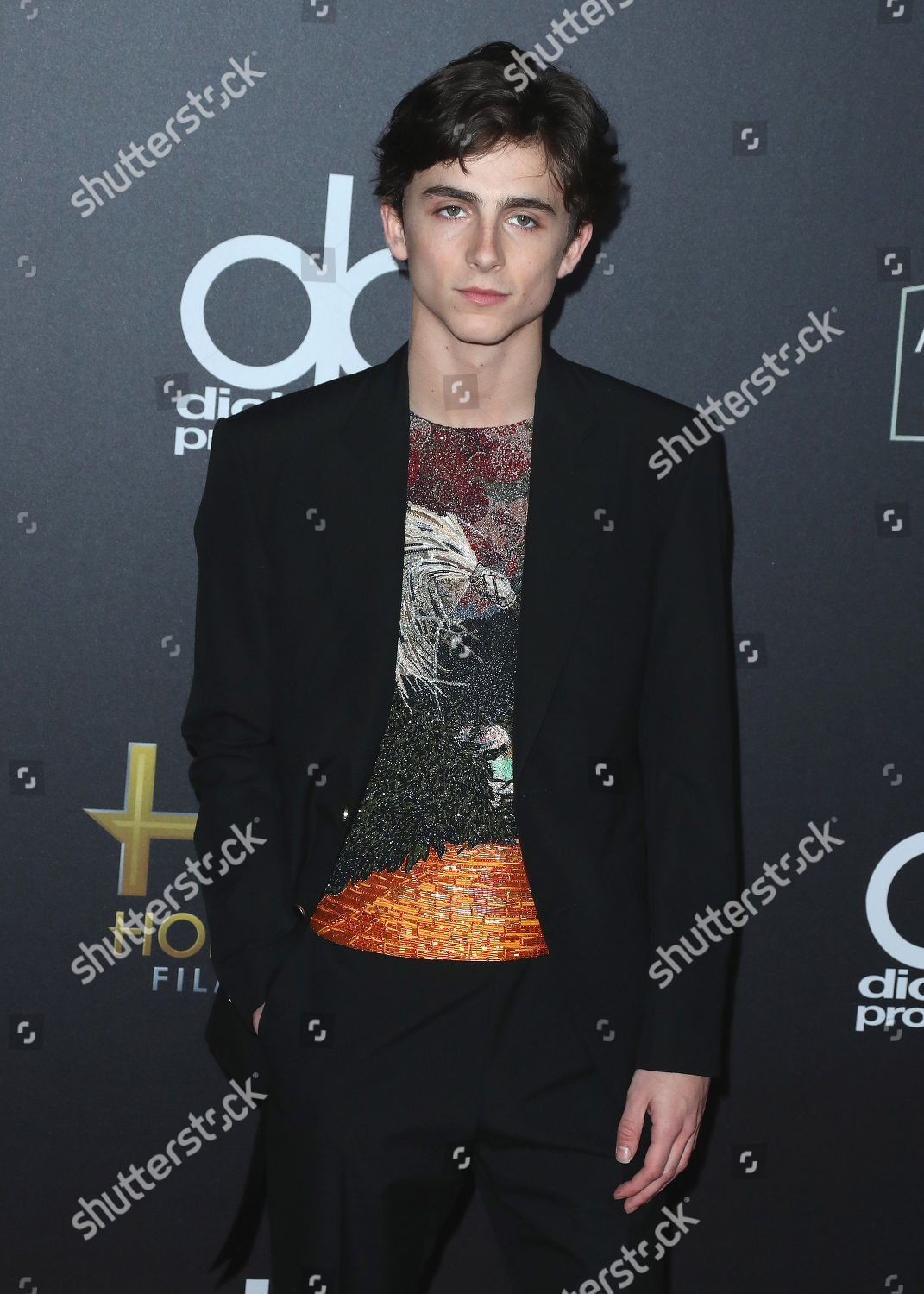 Timothee Chalamet Editorial Stock Photo - Stock Image | Shutterstock