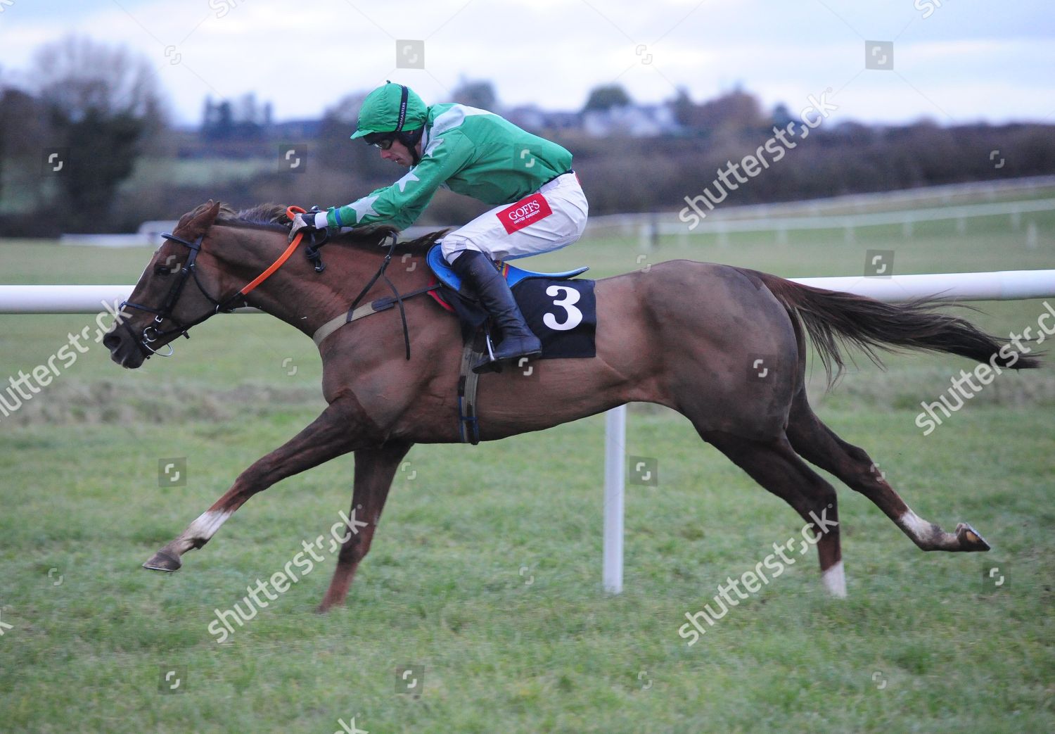 Thurles Pakens Rock Derek Oconnor Win Editorial Stock Photo - Stock ...