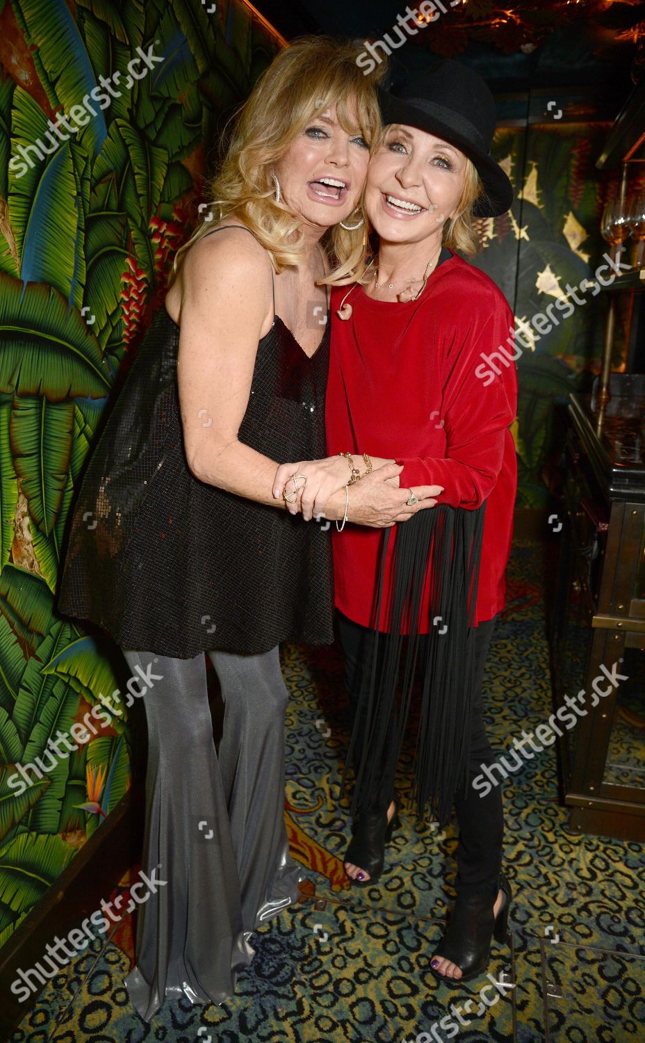 GOLDIE HAWN LULU Editorial Stock Photo - Stock Image | Shutterstock