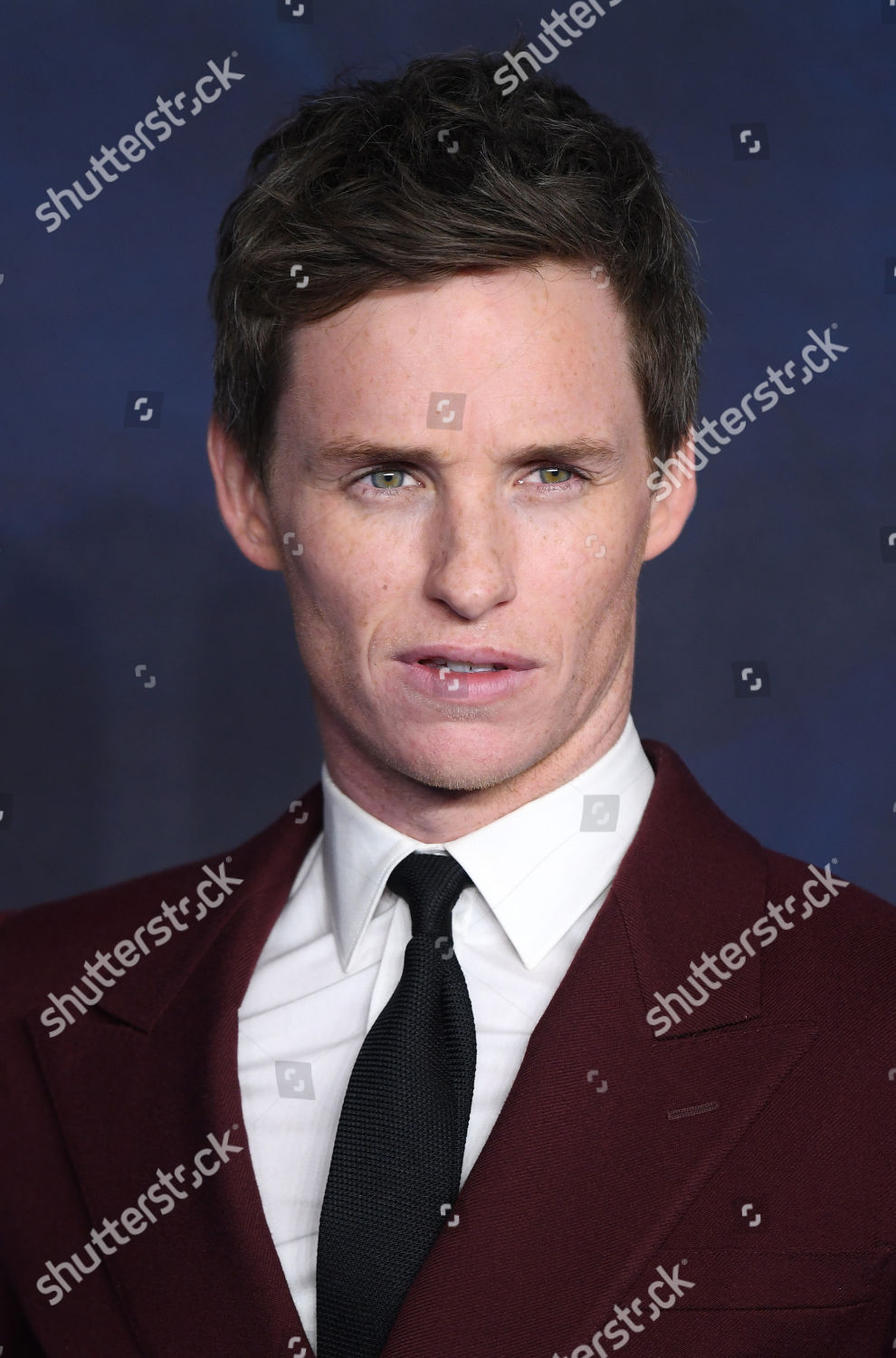 Eddie Redmayne Editorial Stock Photo - Stock Image | Shutterstock