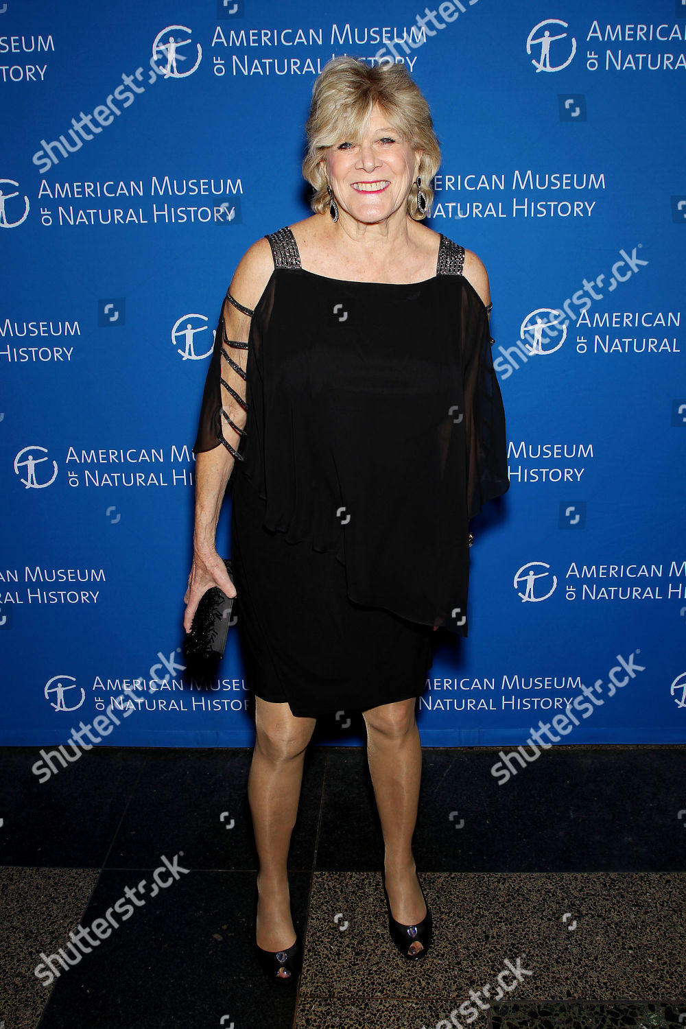 Lynn Sherr Editorial Stock Photo Stock Image Shutterstock