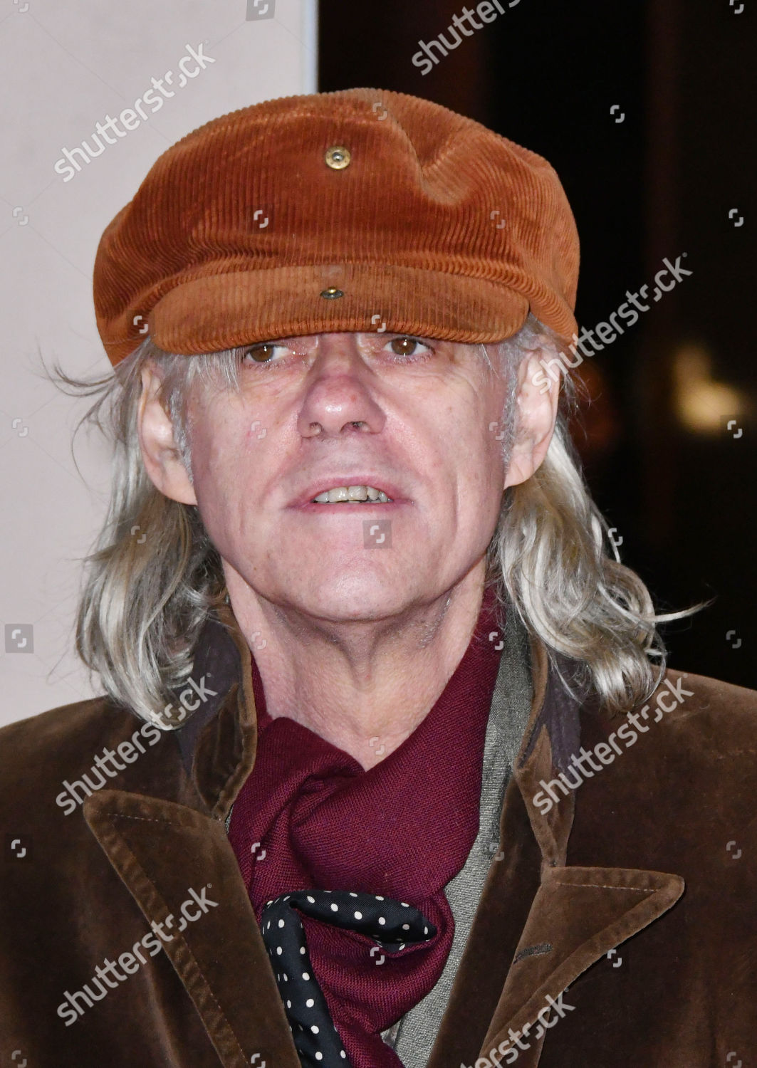 Bob Geldof Editorial Stock Photo - Stock Image | Shutterstock