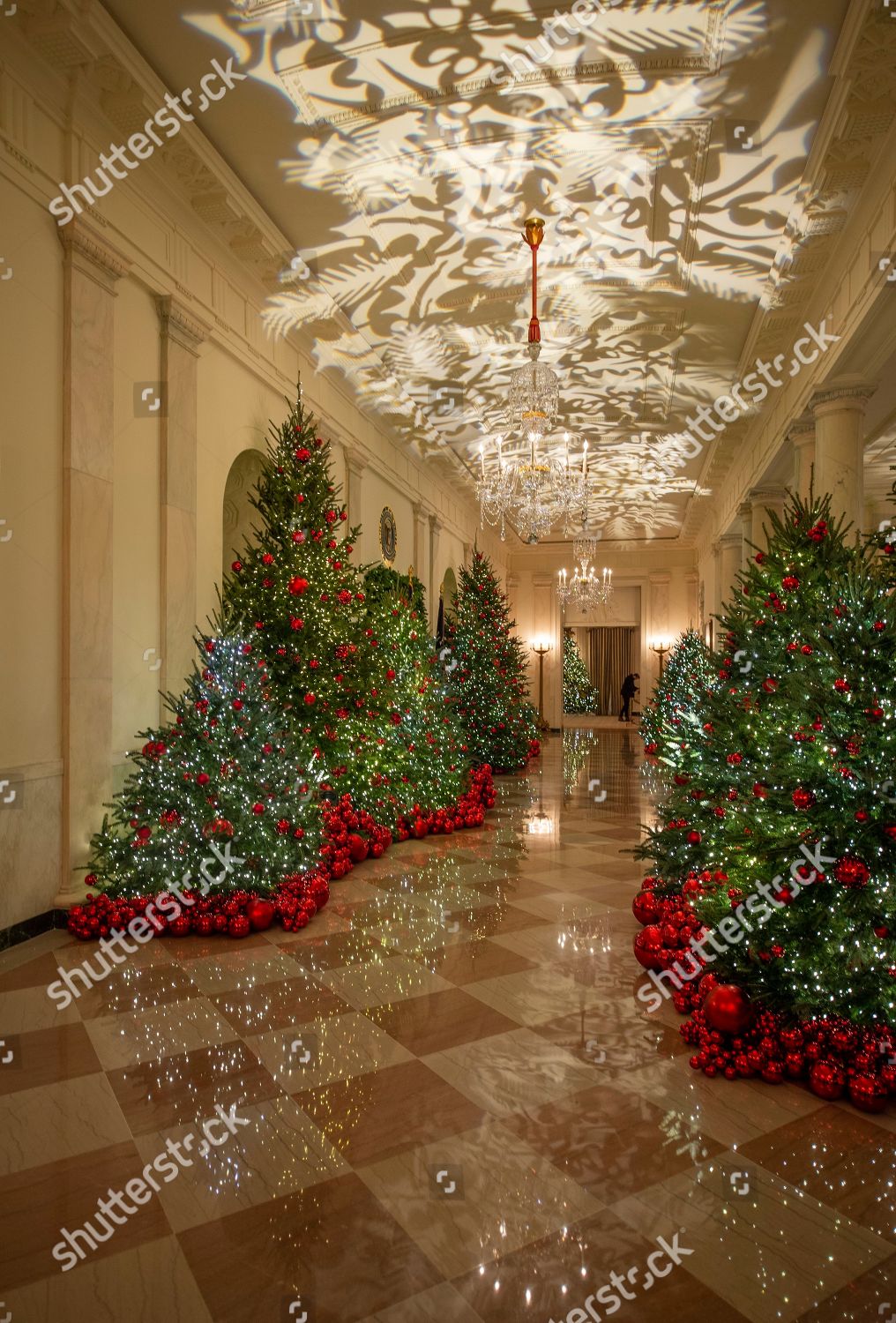 White House Christmas  holiday  decorations  on display 