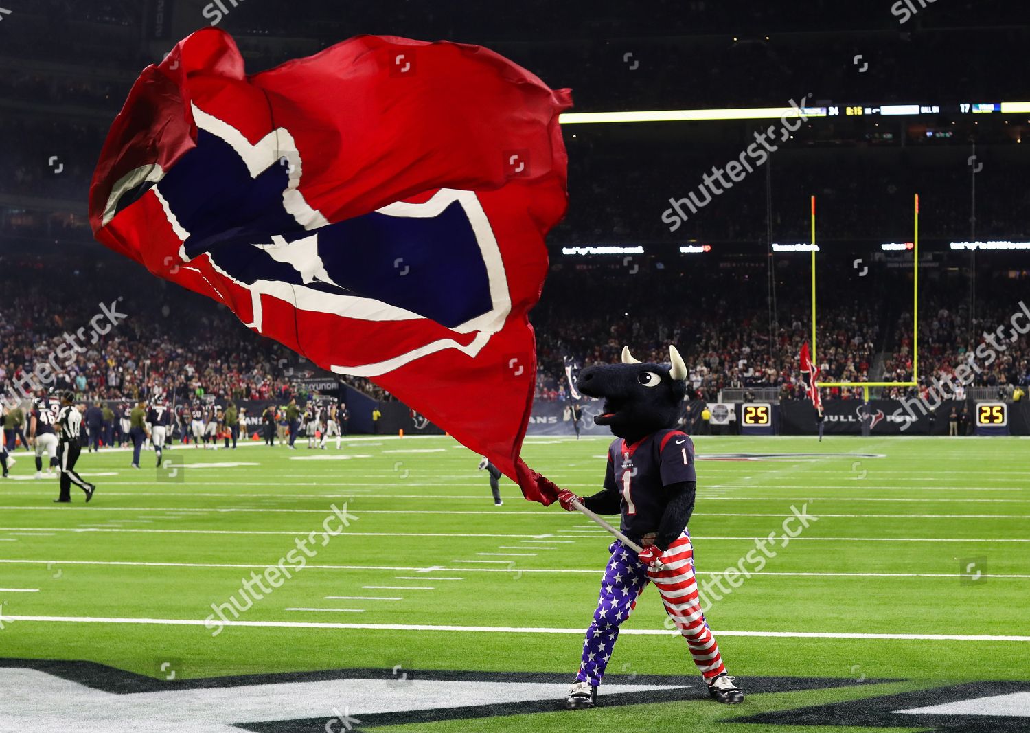 NRG Stadium - Houston Texans - Houston, Texas, USA 