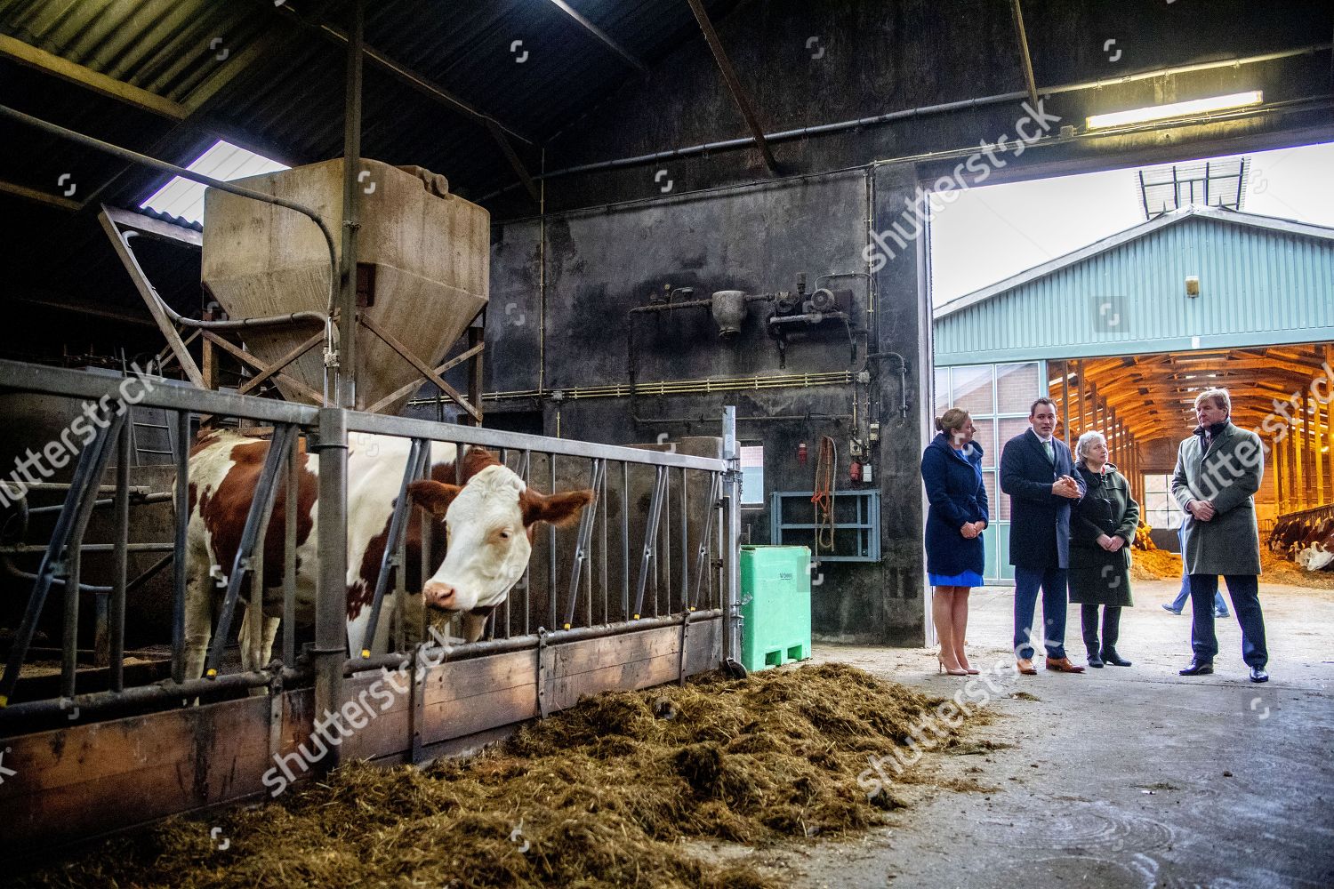 visit-to-dairy-farm-groot-steinfort-joppe-netherlands-shutterstock-editorial-9996881bg.jpg