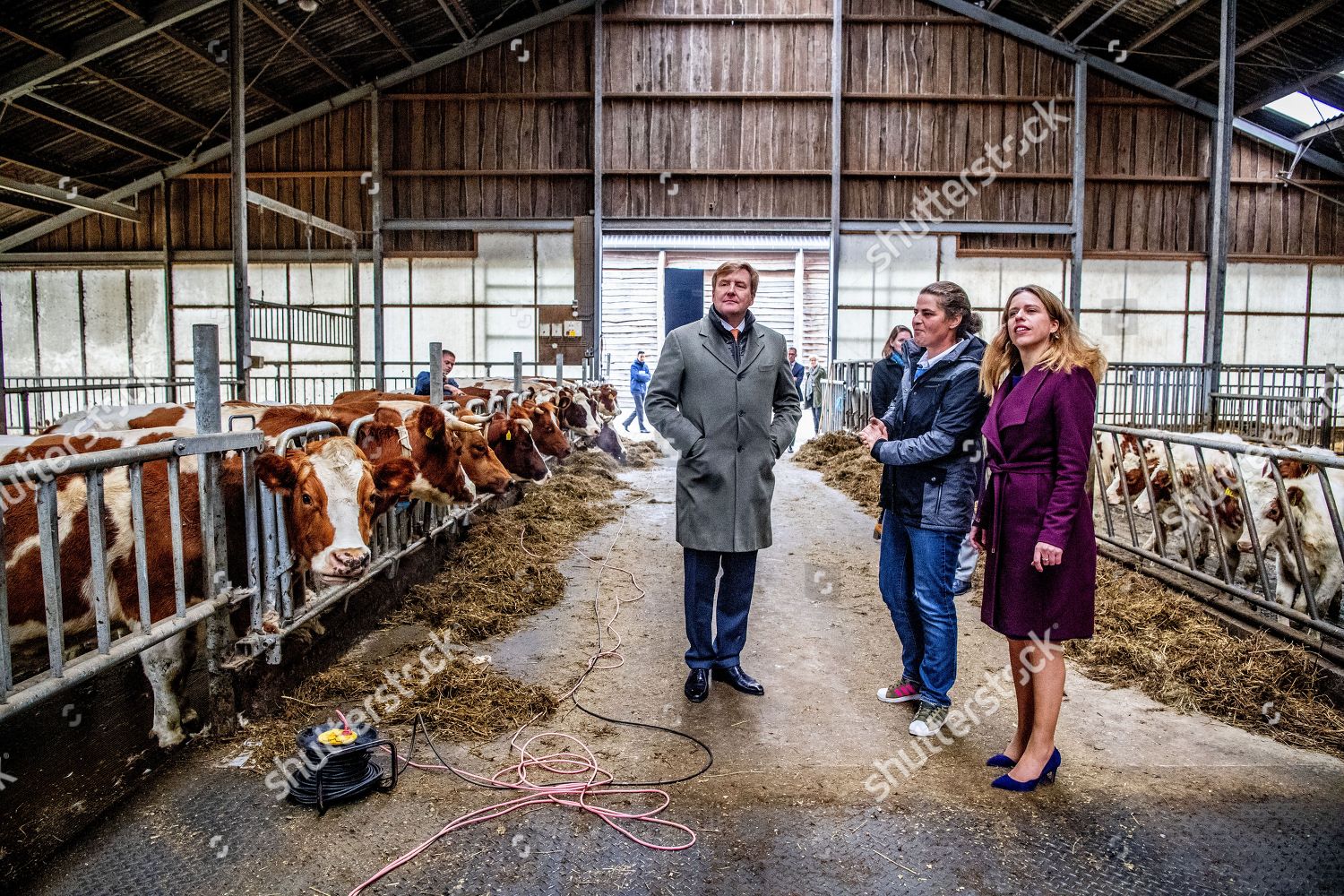 visit-to-dairy-farm-groot-steinfort-joppe-netherlands-shutterstock-editorial-9996881bo.jpg