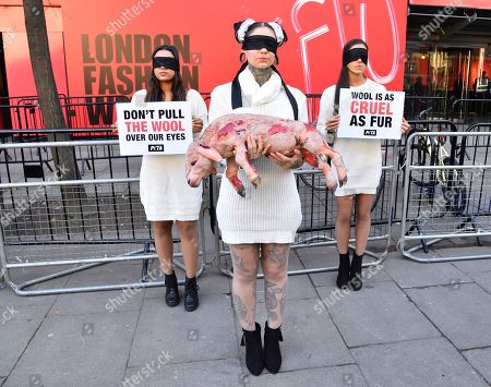 Peta Wool Protest London Stockfotos Exklusiv Shutterstock