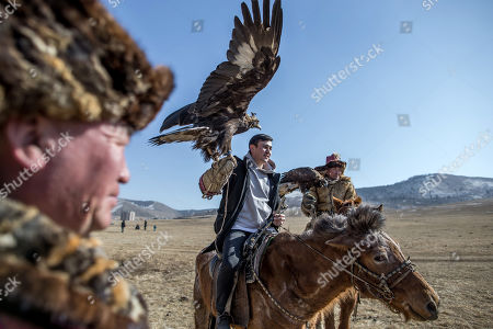 Falconry Stock Pictures Editorial Images And Stock Photos