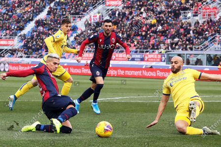 Bolognas Nicolas Dominguez L Action Against Veronas Editorial Stock Photo Stock Image Shutterstock