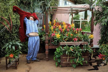 Giant Houseplant Takeover Rhs Garden Wisley Stockfotos Exklusiv