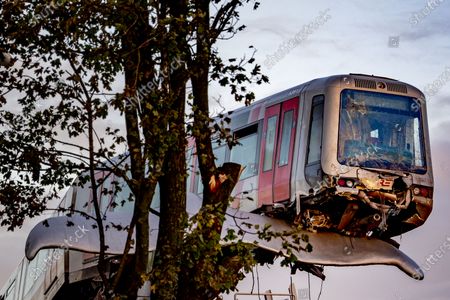 Whale Sculpture Stops Dutch Train Crashing Into Stockfotos Exklusiv Shutterstock