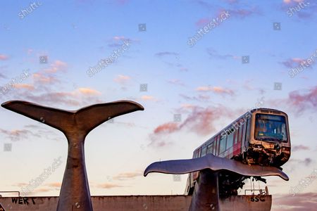 Whale Sculpture Stops Dutch Train Crashing Into Stockfotos Exklusiv Shutterstock