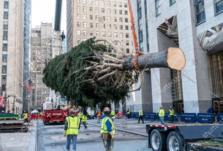 20202021 Season 75foot Rockefeller Center Christmas Norway Editorial Stock Photo Stock Image Shutterstock