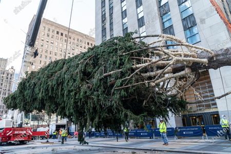 20202021 Season 75foot Rockefeller Center Christmas Norway Editorial Stock Photo Stock Image Shutterstock