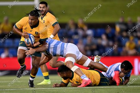 los pumas vs australia
