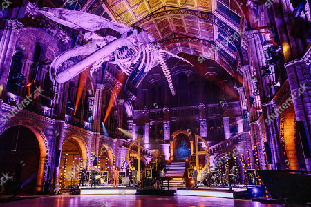 Gary Barlows Night Museum Tv Show Stock Photos Exclusive Shutterstock