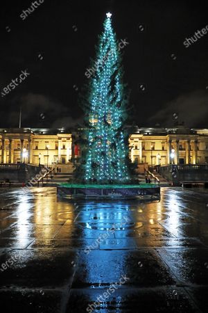 trafalgar square christmas tree lights switched on editorial stock photo stock image shutterstock