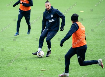 Hamsik Fotos En Stock Imagenes Editoriales Y Fotos En Stock Shutterstock