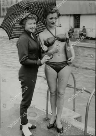 wallis swimwear