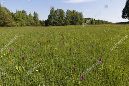 Weilheim Stock Pictures Editorial Images And Stock Photos Shutterstock