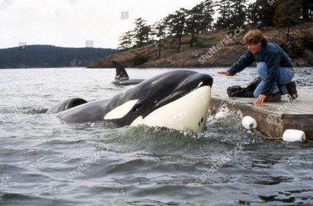 movie free willy 2