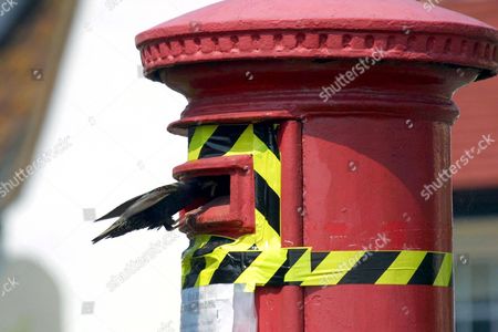 Royal Mail Post Box Bird Box