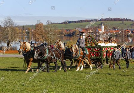 Froschhausen Stock Pictures Editorial Images And Stock Photos Shutterstock