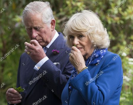 prince-charles-and-camilla-duchess-of-cornwall-visit-to-northern-ireland-shutterstock-editorial-5694772p.jpg