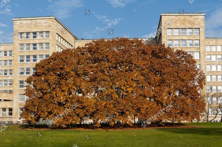 Poelzig Stock Photos Editorial Images And Stock Pictures