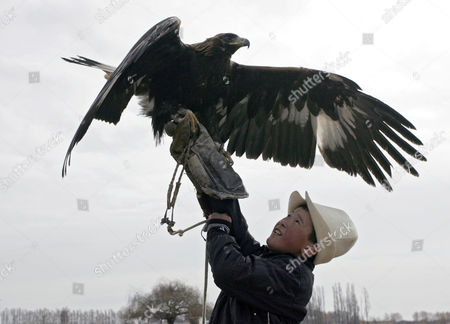 Rifle Bird Stock Pictures Editorial Images And Stock Photos