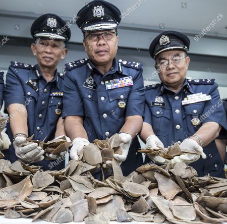 Royal Malaysian Customs Department Rmc Officers Display Editorial Stock Photo Stock Image Shutterstock