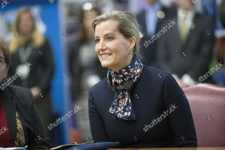 Sophie Countess Wessex Visits Park House School Stockfotos