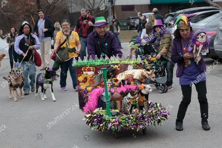 Mardi Gras Dog Parade Austin Stockfotos Exklusiv Shutterstock