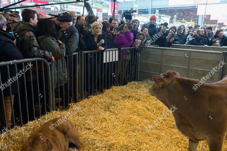 Marine Le Pen Visits International Trade Fair Stock Photos