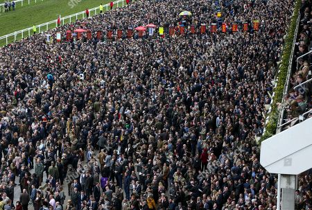 Cheltenham Festival Day 4 Horse Racing Stock Photos (Exclusive) | Shutterstock