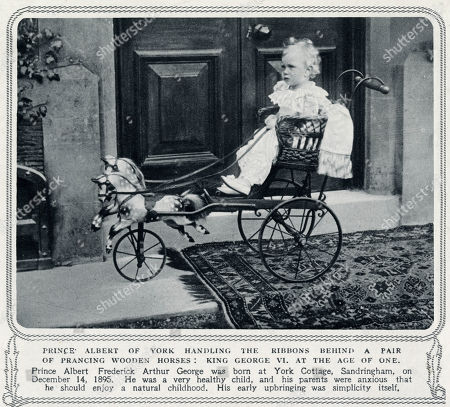 baby born horse and carriage