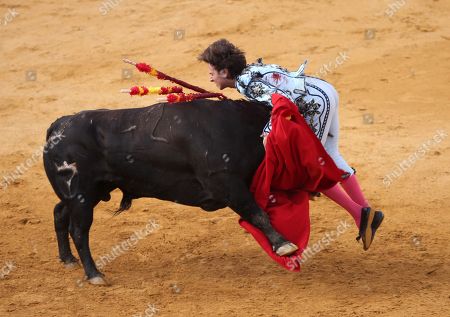 Bullfighting Ronda Fotos de stock (exclusivo) | Shutterstock